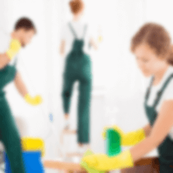cleaning