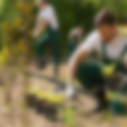 gardening